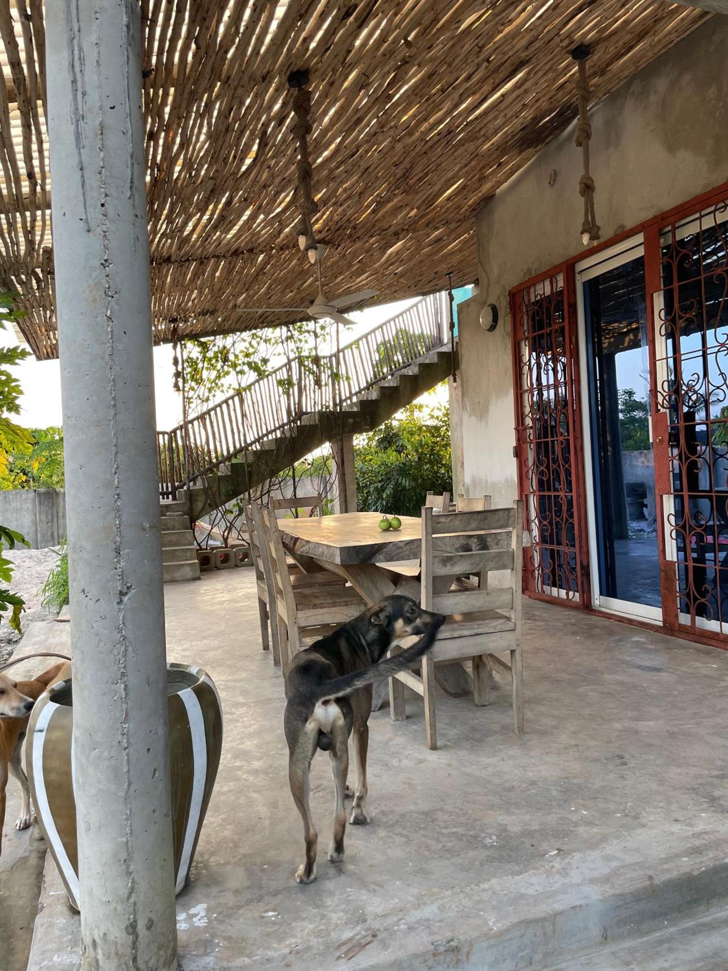 Peponi * Jambiani (Zanzibar)